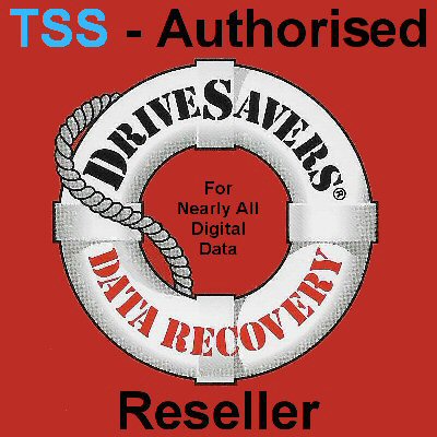 DriveSavers Logo